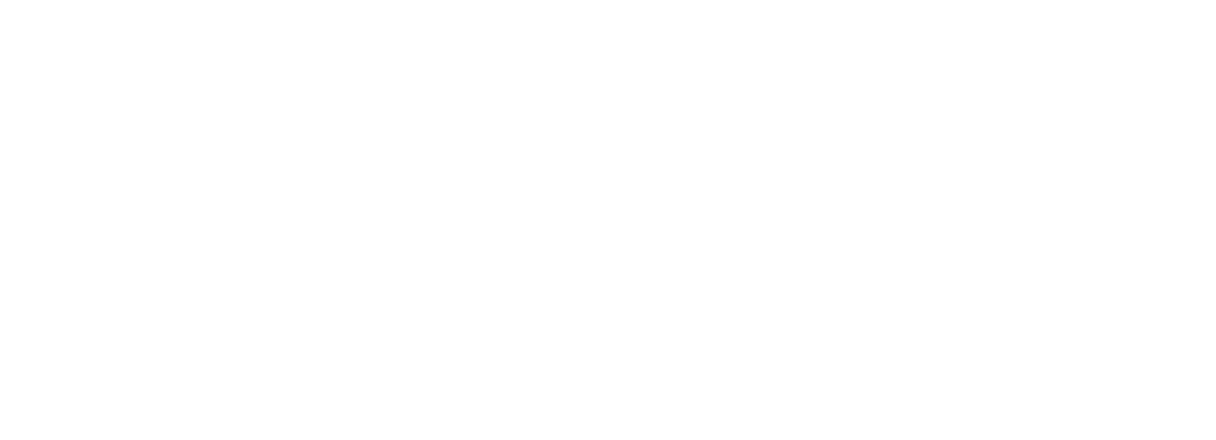 EDS Bilisim Logo